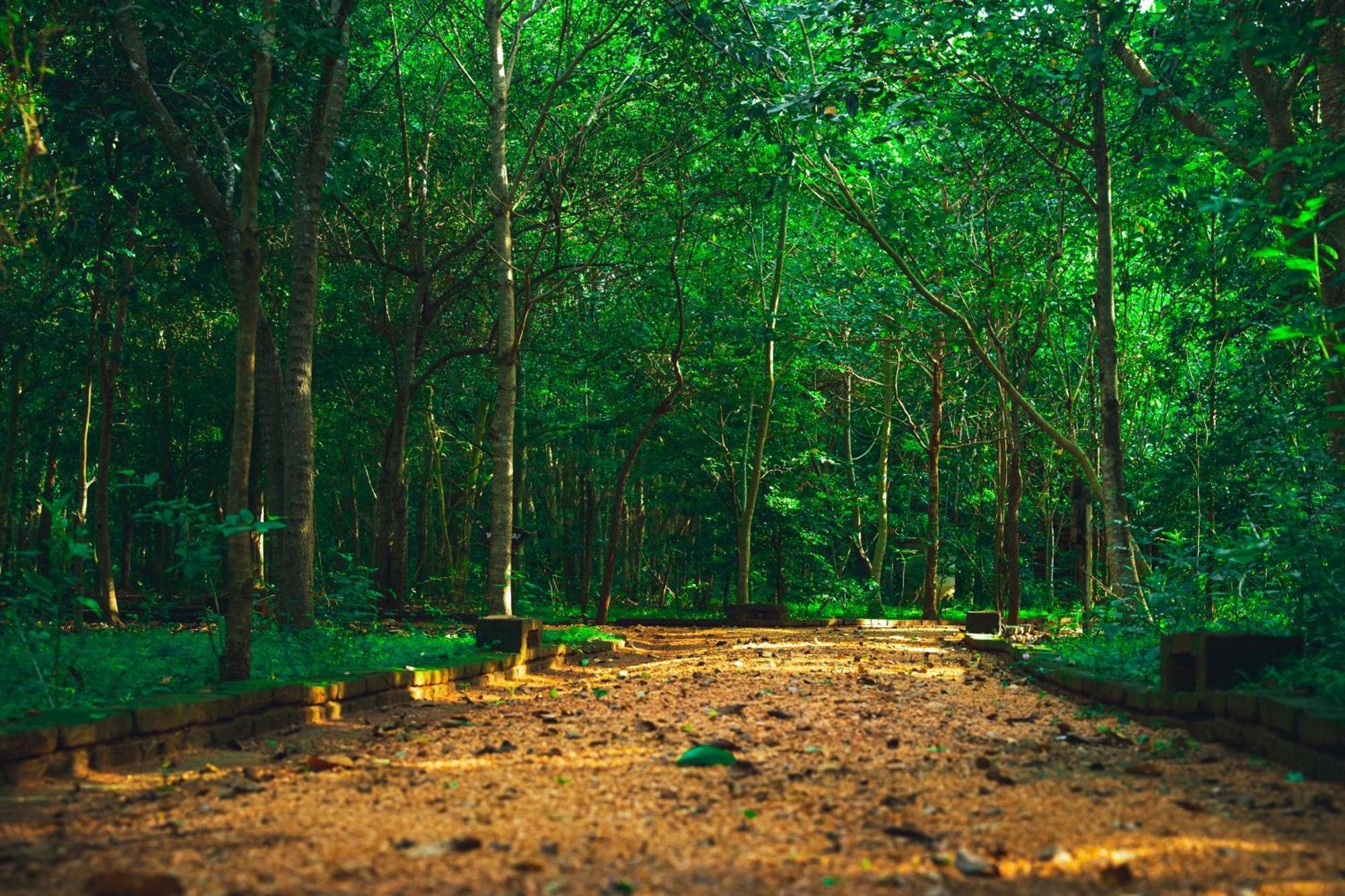Kaala Kalaththewa Luxury Eco Resort Анурадхапура Экстерьер фото
